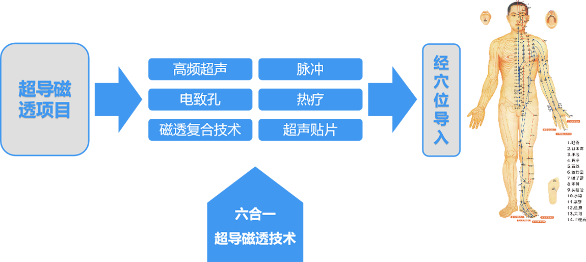 超导磁透项目(图7)