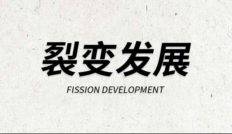 2019裂变发展