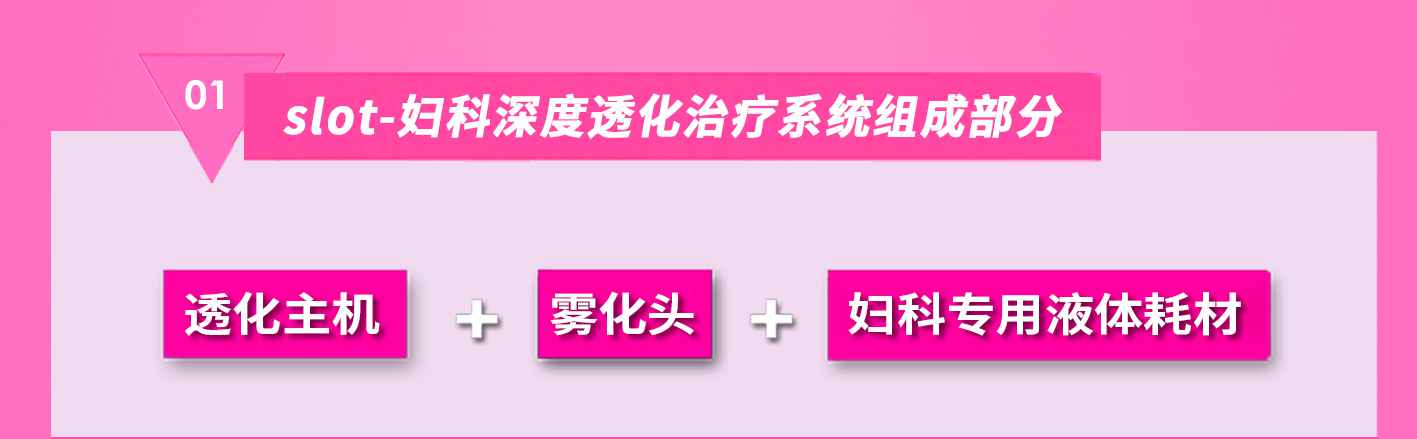 slot-妇科深度透化治疗系统(图2)