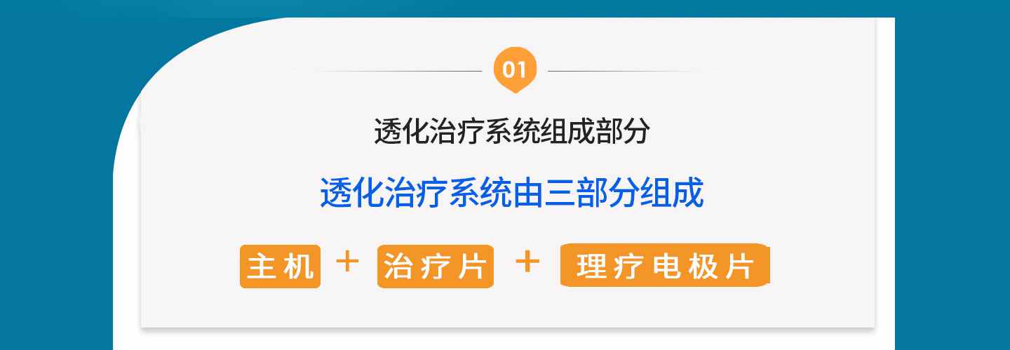 透化治疗系统(图2)