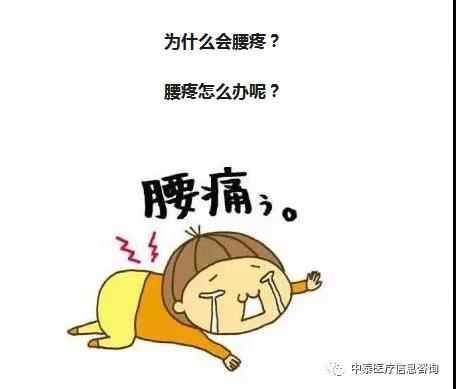 【健康科普】扰人的“腰部”疼痛真相，腰椎间盘突出 VS 腰肌劳损。(图2)